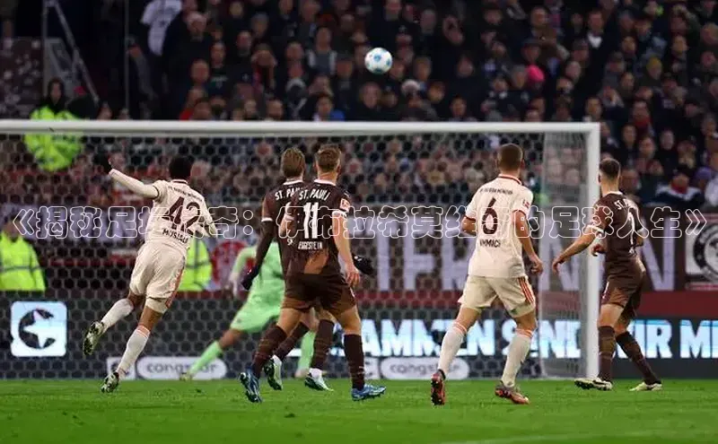 欧陆平台注册开户ARGA公司《揭秘足坛传奇：伊布拉希莫维奇的足球人生》