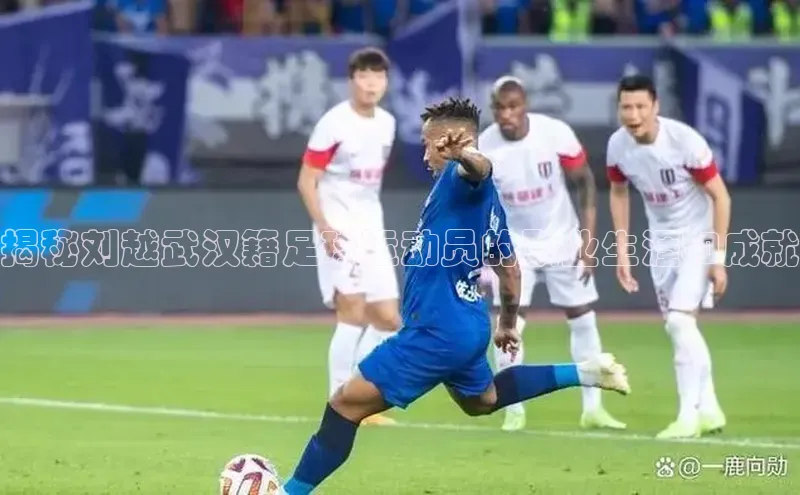 欧陆注册平台登录入口极氪智能科技揭秘刘越武汉籍足球运动员的职业生涯和成就