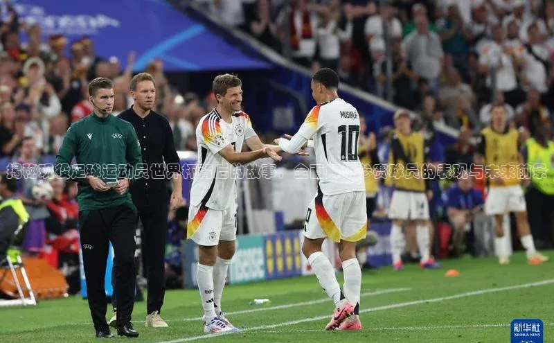 欧陆娱乐注册代理小红书揭秘现役足球运动员世界杯背后的故事，全面解析参赛球员的表现与未来前景