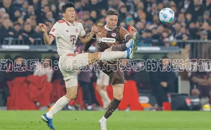 动感瞬间：顶级体育赛事的视觉精髓