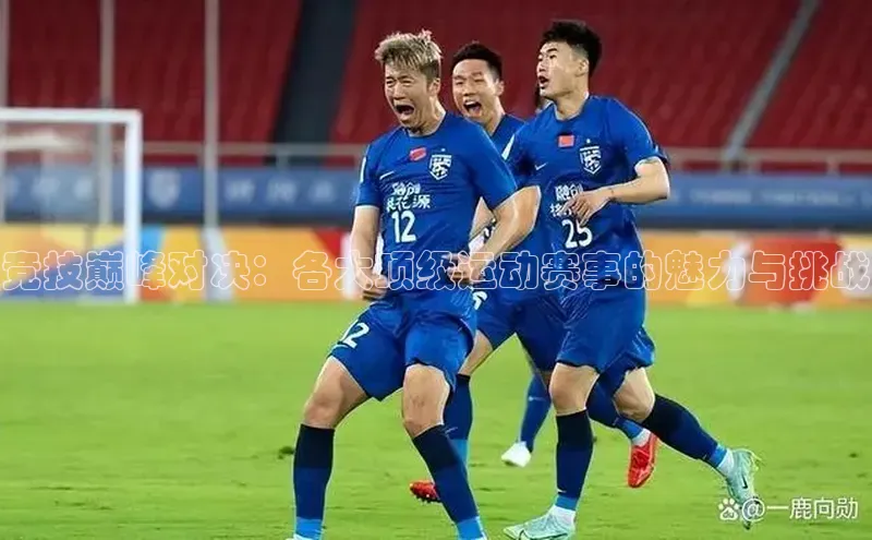 竞技巅峰对决：各大顶级运动赛事的魅力与挑战