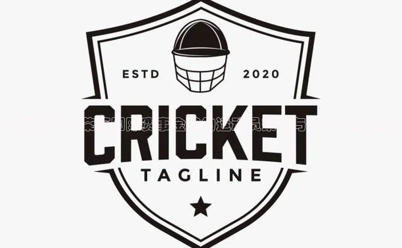 闪耀赛场：荣获国际赛事金牌的运动员荣誉与奖励方案探讨