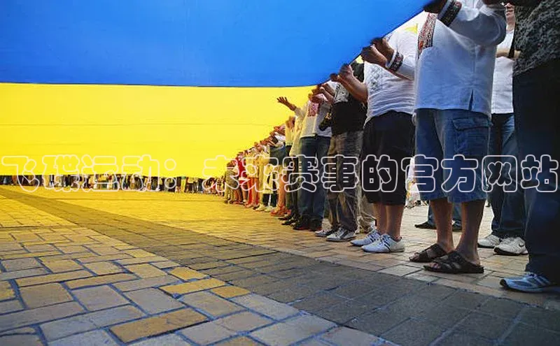 飞碟运动：未来赛事的官方网站