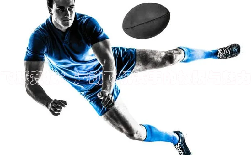 飞跃竞技：运动飞机赛事的极限与魅力