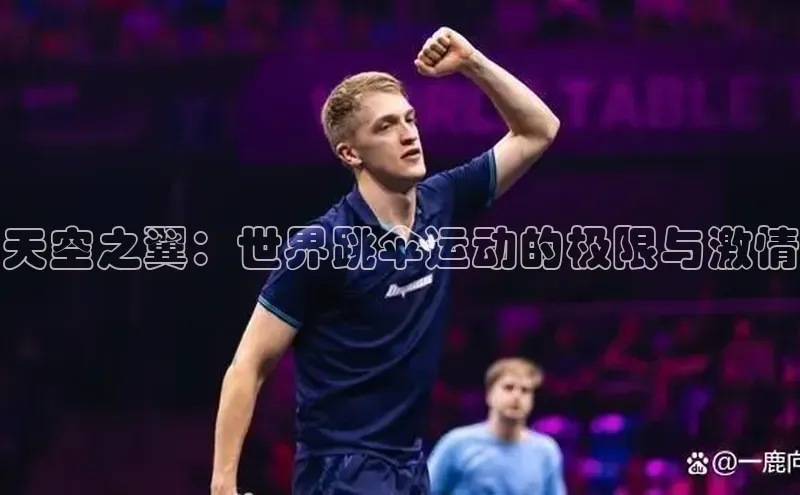 天空之翼：世界跳伞运动的极限与激情