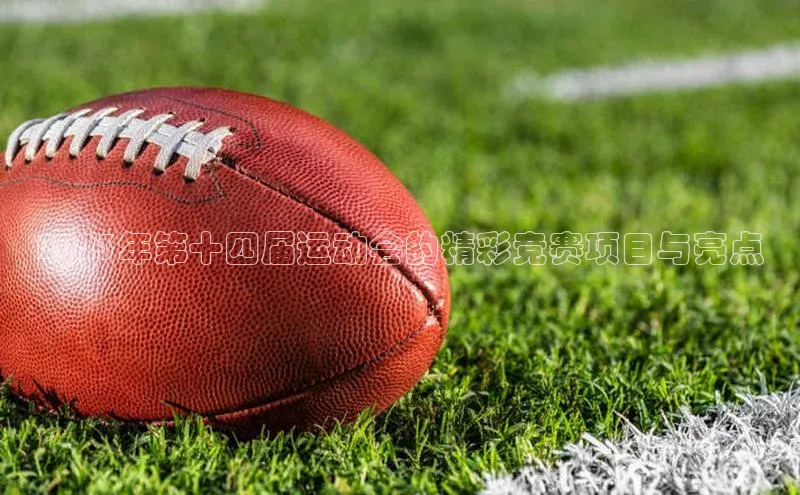 2023年第十四届运动会的精彩竞赛项目与亮点