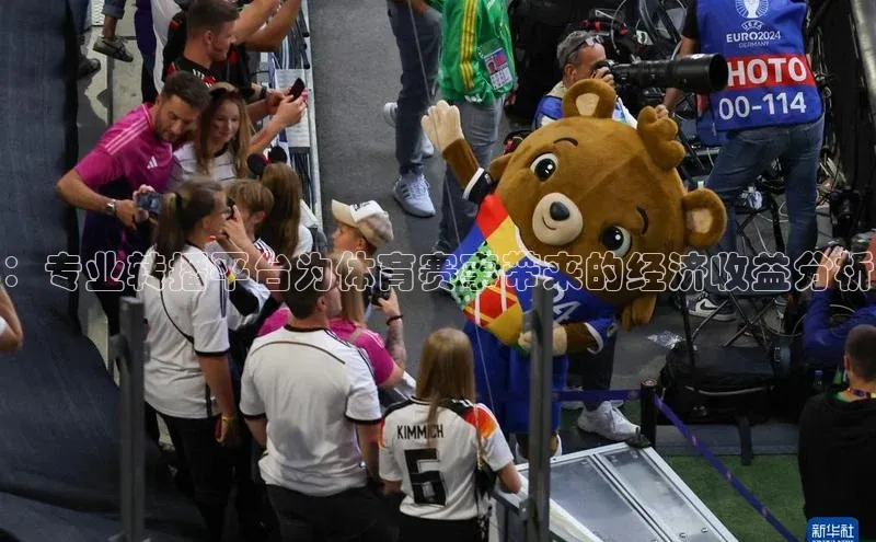 ：专业转播平台为体育赛事带来的经济收益分析