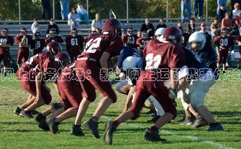 网上的竞技场：新的网上运动赛事体验