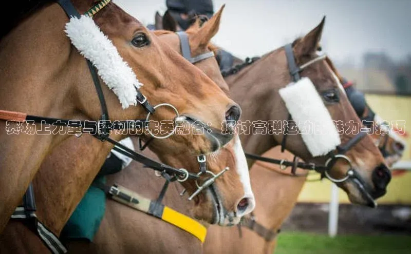 欧陆注册平台登录入口